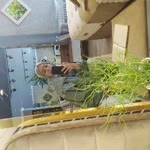 Profil fotoğrafı