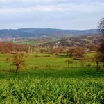 Ayşe