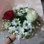 Merve