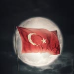 Sizin