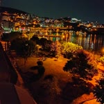 Selim
