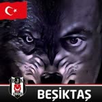Bulut