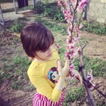 İrem