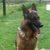 profile-icon