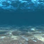 Asude