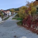 Eda