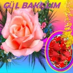 İbrahim