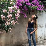Melis