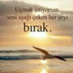 Emel