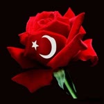 Fevzi
