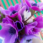 Hatice