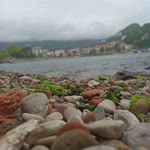 Gülbahar