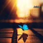 Fatima