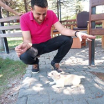 Servet