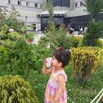 Sabır
