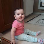 Şahin