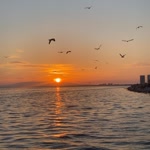 Hatice