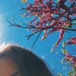 Elif