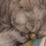 Zeynep