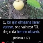 Pınar