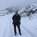 Şahin