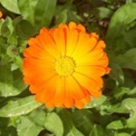 Gizem