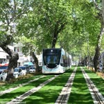 Şevki