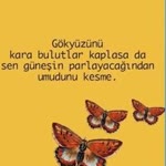 Profil fotoğrafı