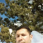 Orhan