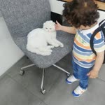 Sinem