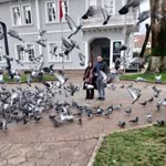 Beytullah