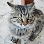 Beyza