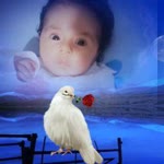 Orhan