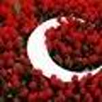 Fatma