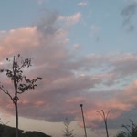 Nisa