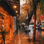 Serdar