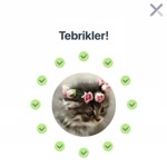 Feyza