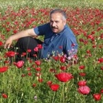 Sabri