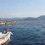 Arzu
