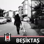 Pelin
