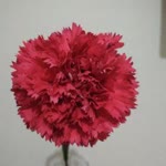 Ebrar