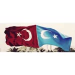 Umut