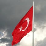 Doğan