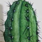 Hayrunnisa