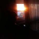 Sibel