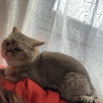 Beyza