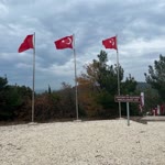 Gül