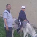 Niyazi