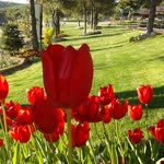 Profil fotoğrafı