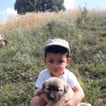 Haydar